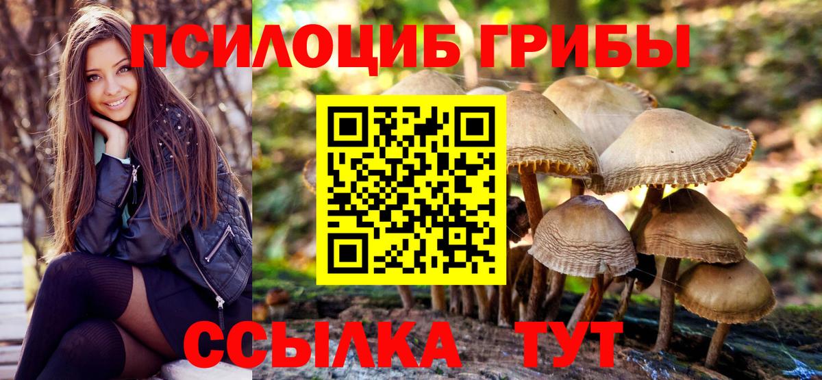Россошь  Галлюциногенные грибы прущие грибы  Вход с VPN 
