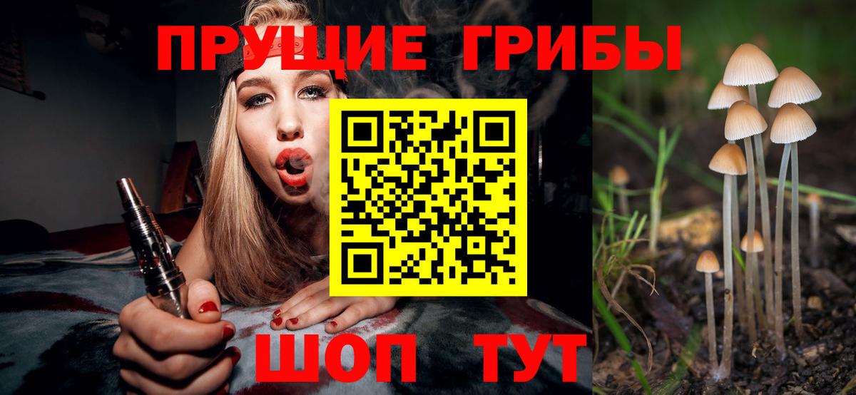 Псилоцибиновые грибы мицелий Россошь